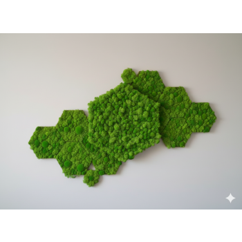 Panel z mchu chrobotka hexagon 26×30 cm – zielona dekoracja ścienna